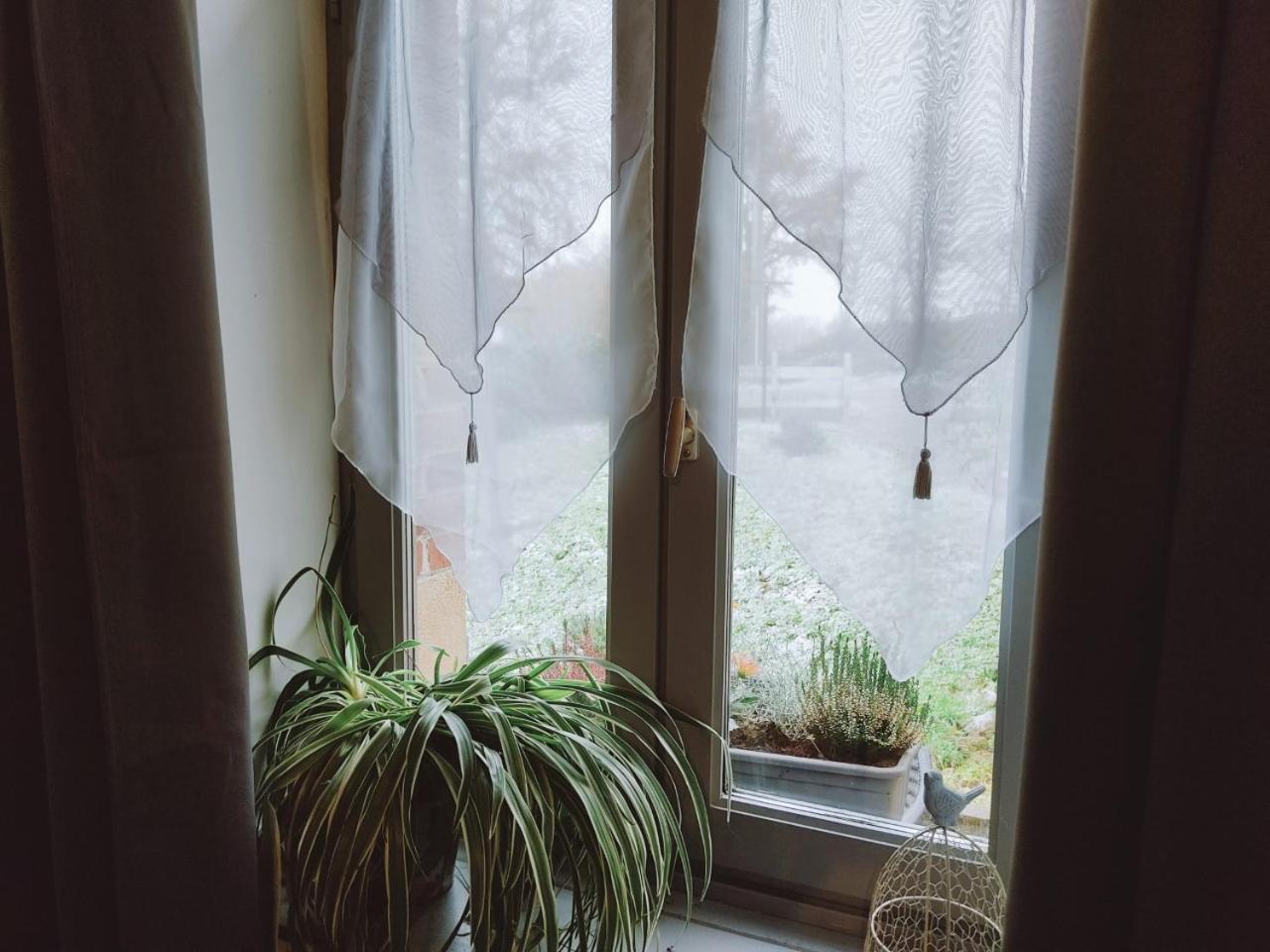 Chez Christy Chemin Des Dinots Bed & Breakfast Saint-Bonnet-de-Four Bilik gambar